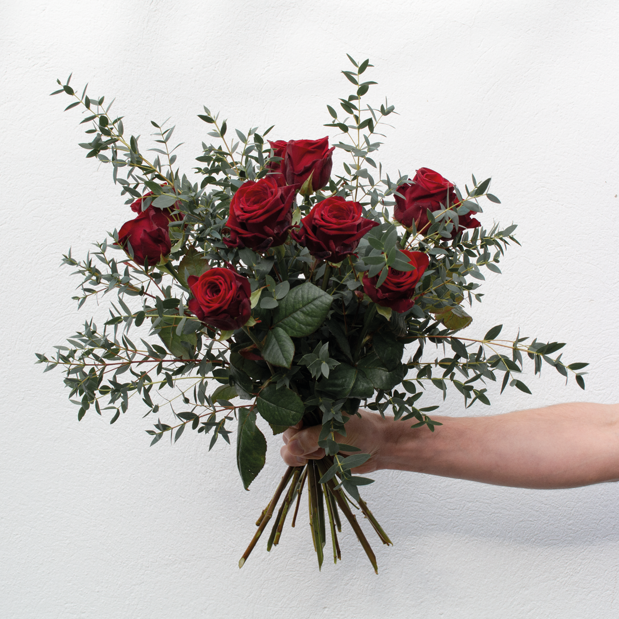 Valentin | Rosen