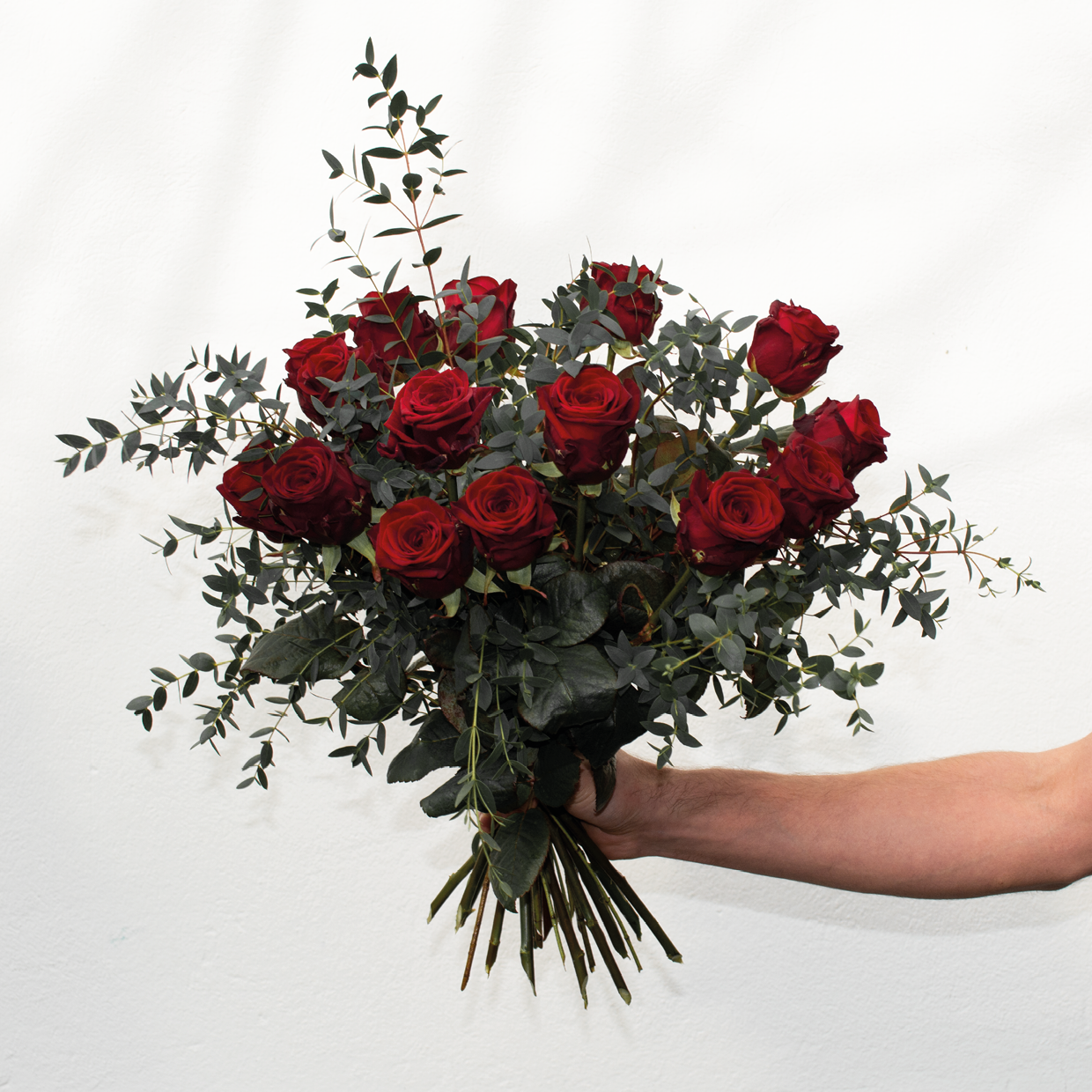 Valentin | Rosen
