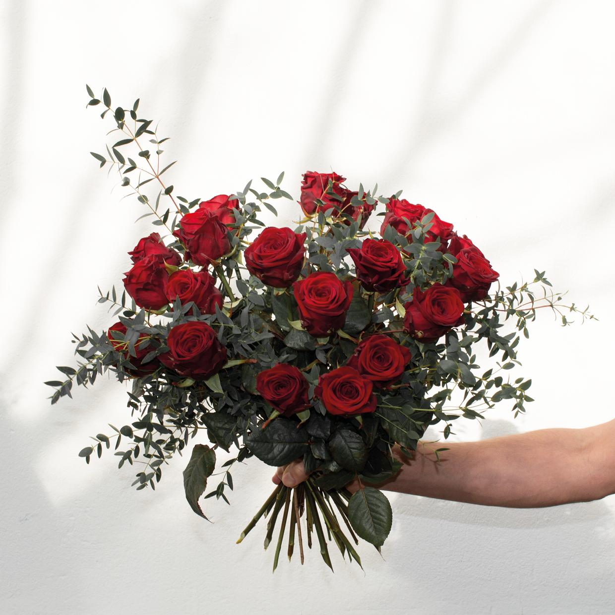 Valentin | Rosen