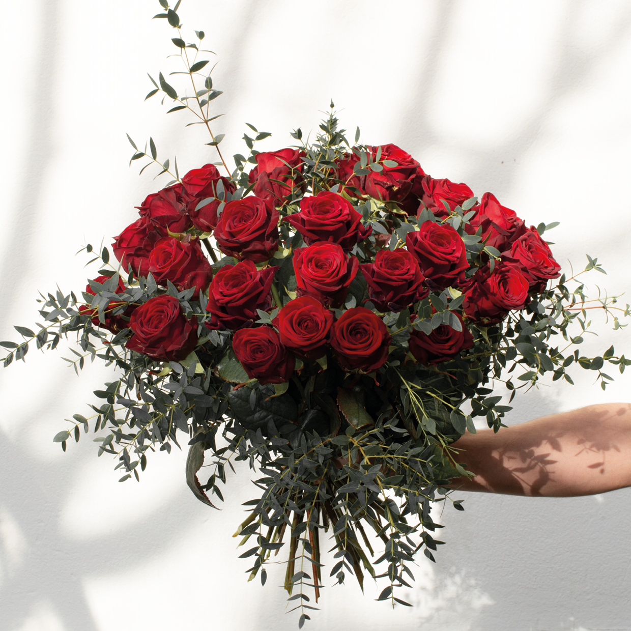 Valentin | Rosen