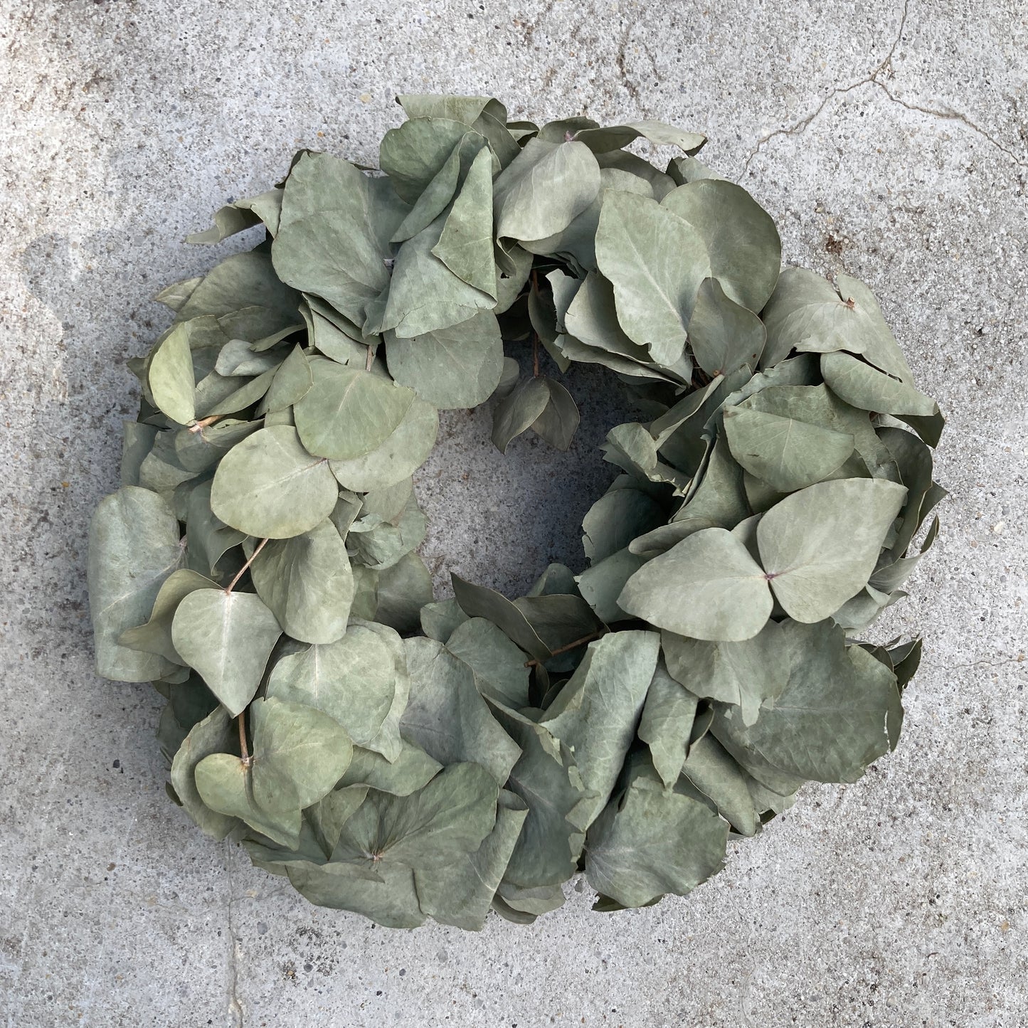 Kranz | Trockenblumen